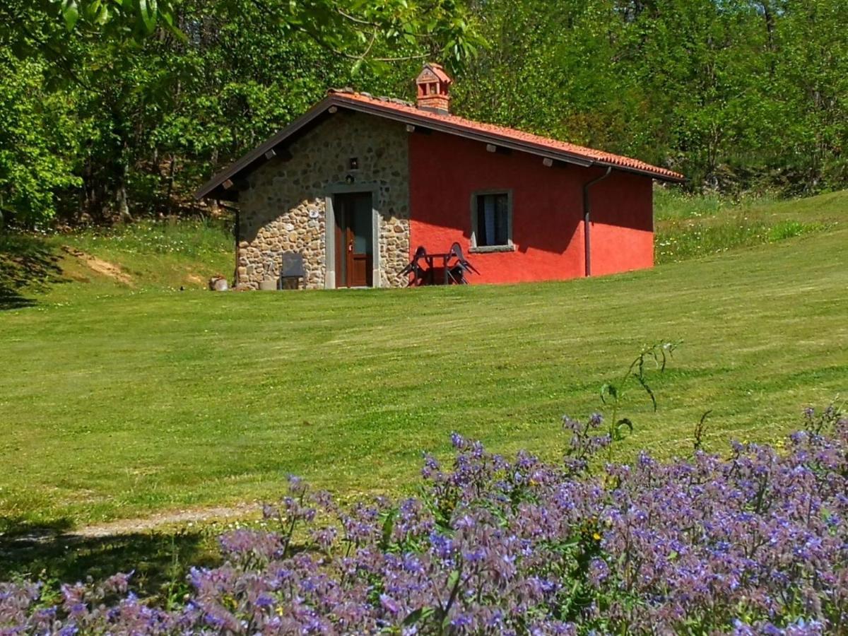Agriturismo Braccicorti Pieve Fosciana Екстер'єр фото