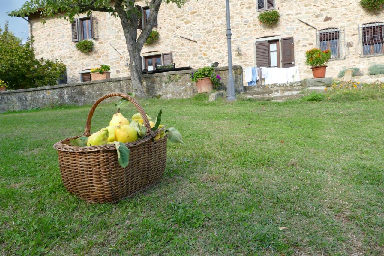 Agriturismo Braccicorti Pieve Fosciana Екстер'єр фото