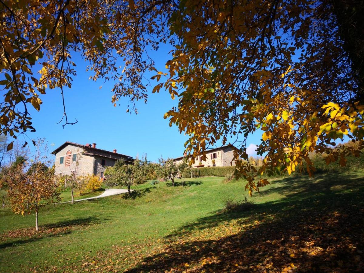 Agriturismo Braccicorti Pieve Fosciana Екстер'єр фото