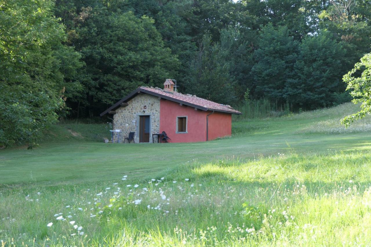 Agriturismo Braccicorti Pieve Fosciana Екстер'єр фото
