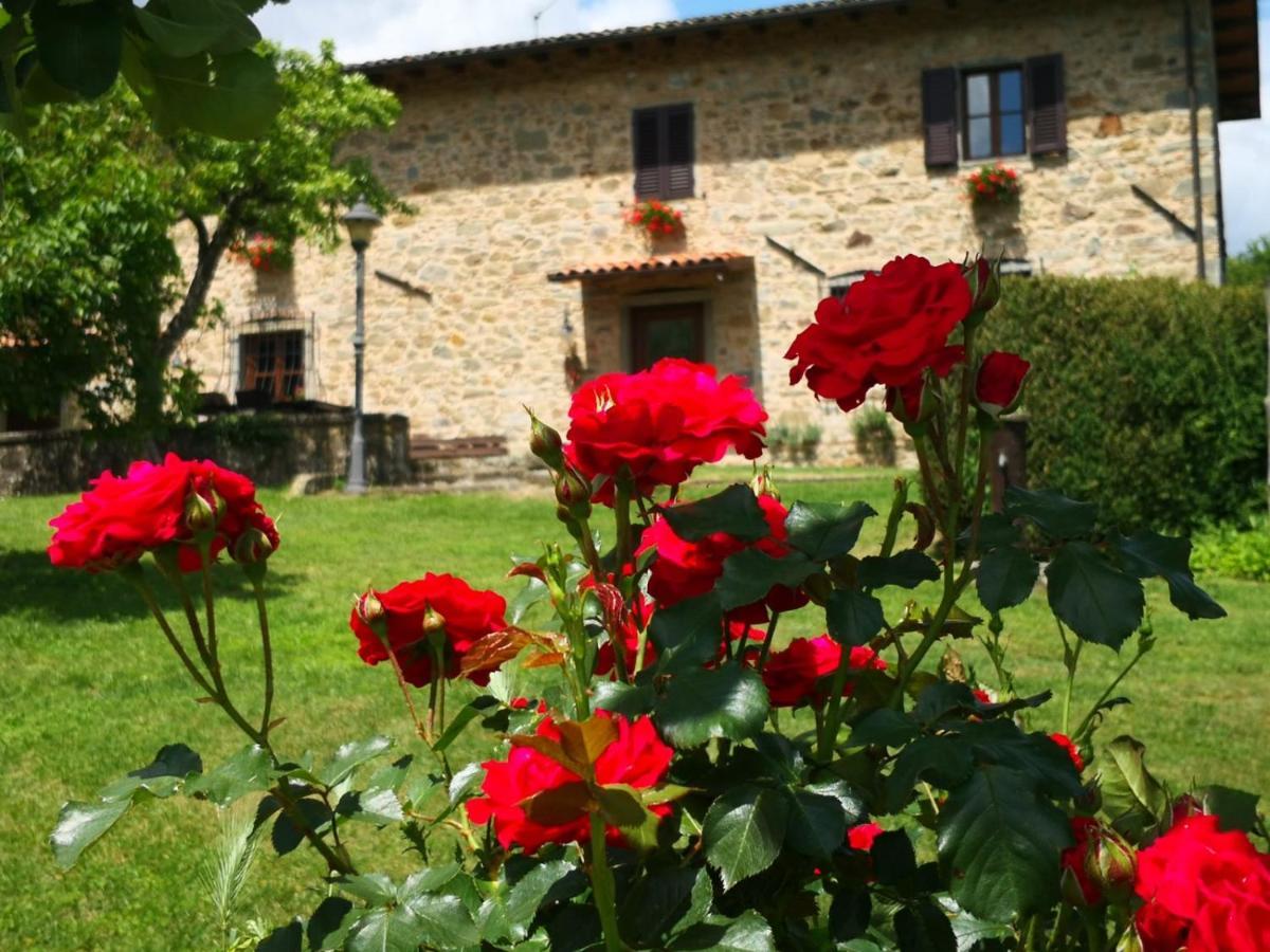 Agriturismo Braccicorti Pieve Fosciana Екстер'єр фото