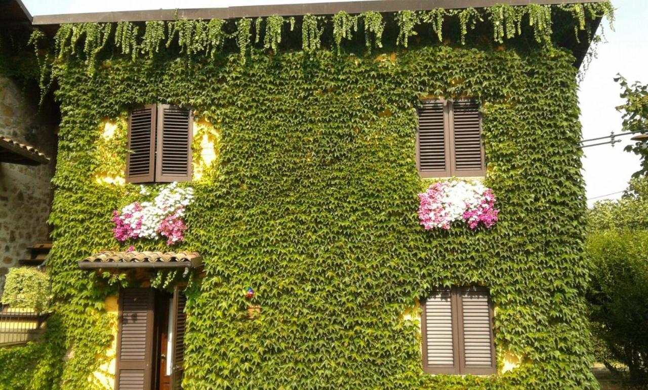 Agriturismo Braccicorti Pieve Fosciana Екстер'єр фото