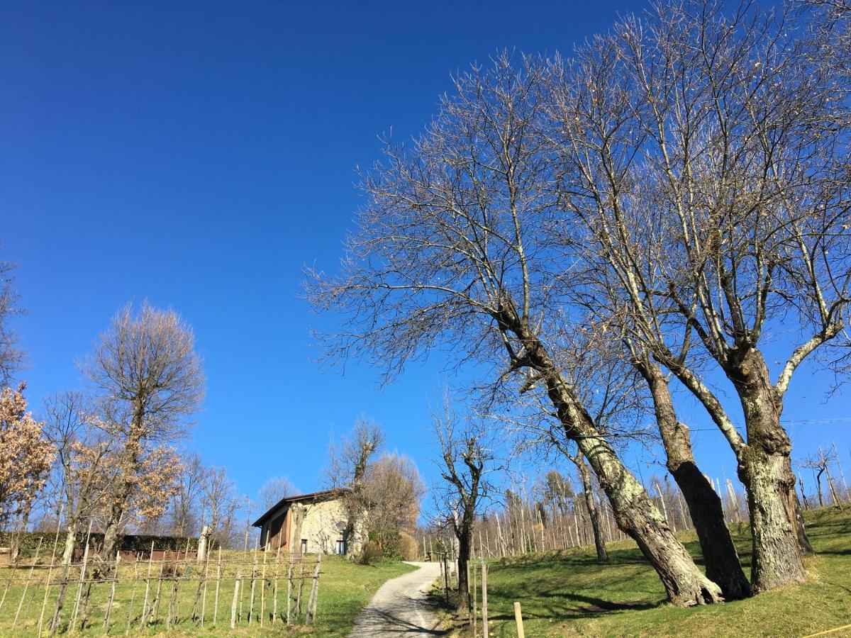Agriturismo Braccicorti Pieve Fosciana Екстер'єр фото